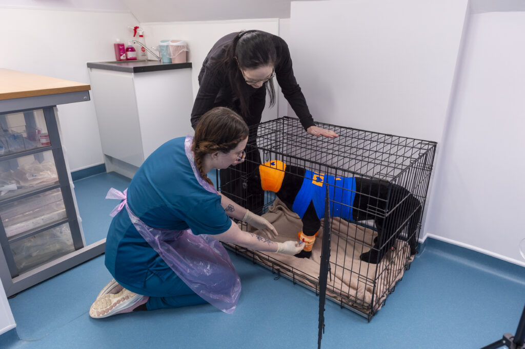 SG25 Goddard Nursing College 043