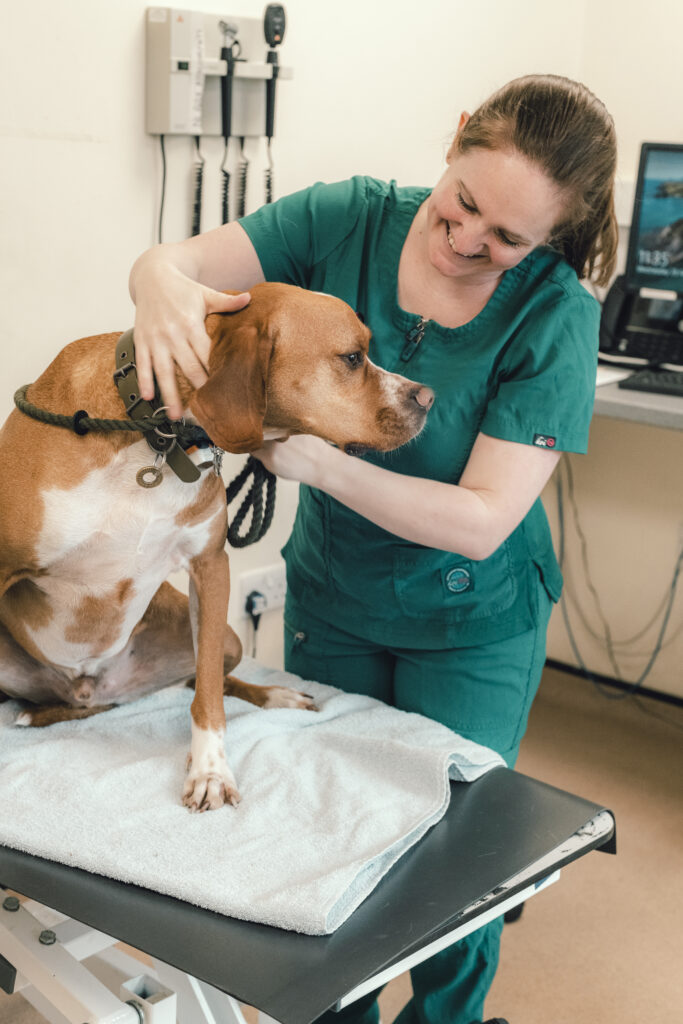 5ab40d82f61ee9c030609fbb2cf2e3f30405f77a