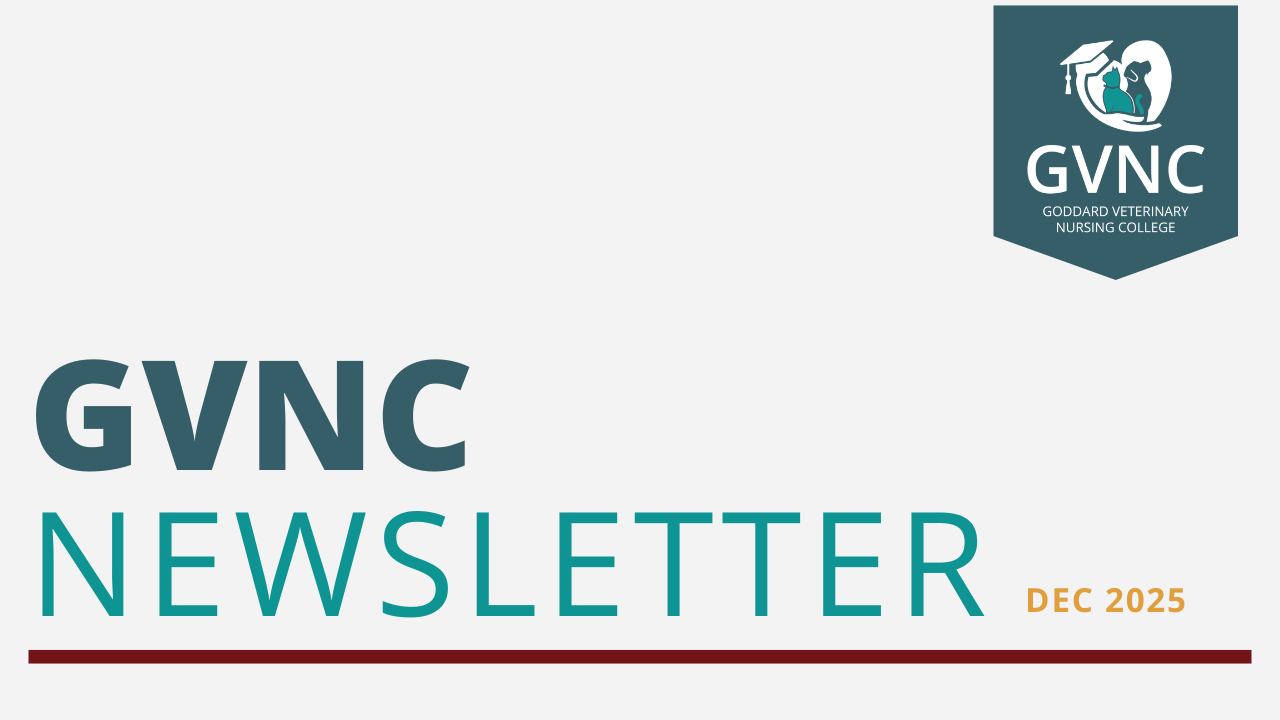 Welcome to our December College Newsletter!